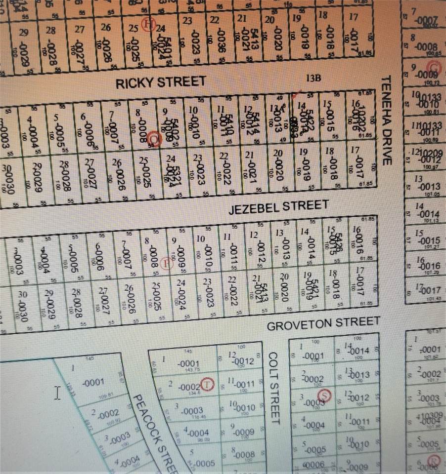 0 Colt Street - Photo 1