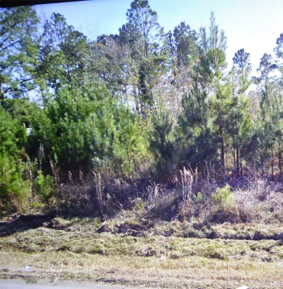 50 County Road 3479A - Photo 1