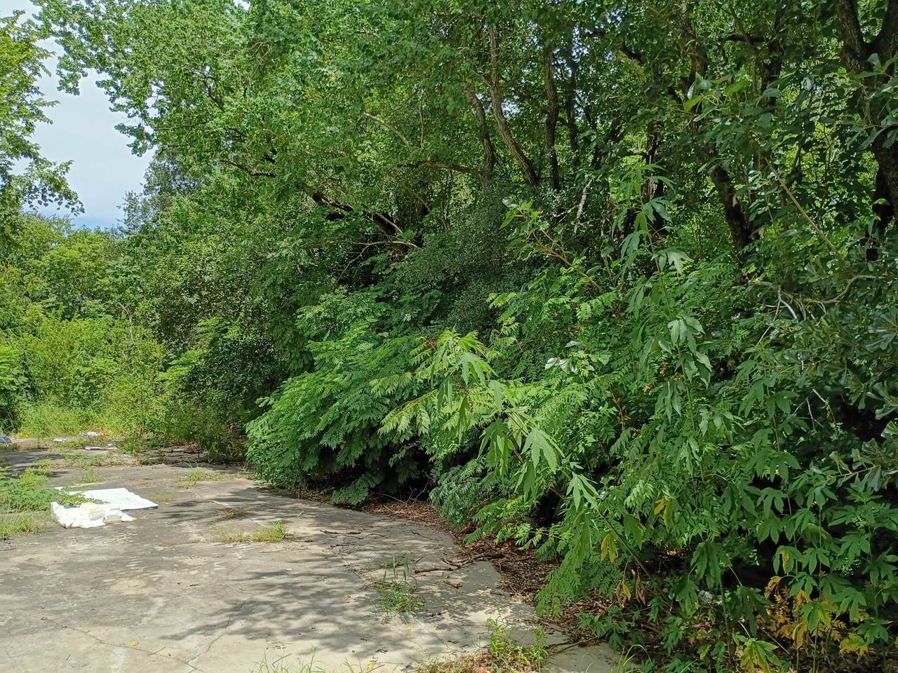 https://bt-photos.global.ssl.fastly.net/harmls/1280_boomver_2_13802496-2.jpg