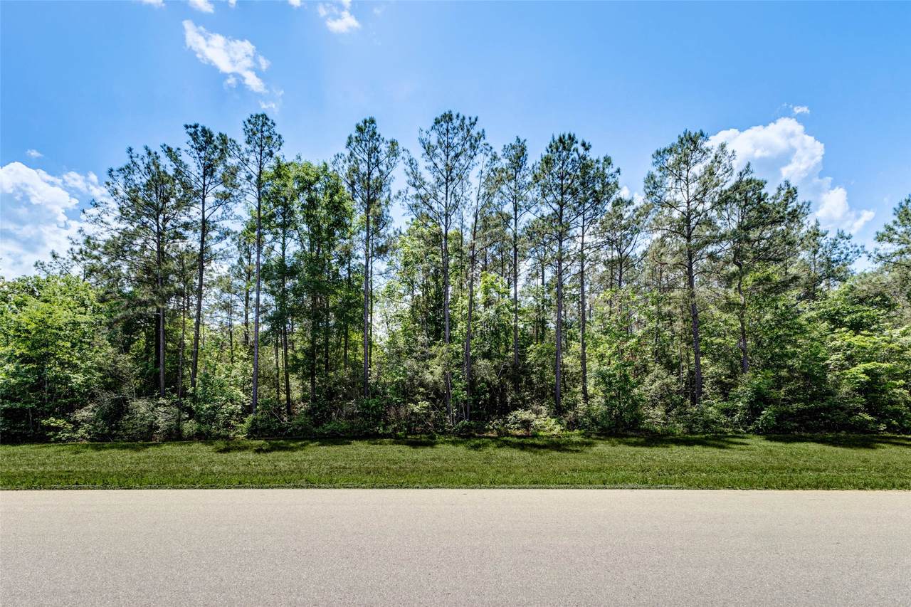 10774 Ruger Road - Photo 1