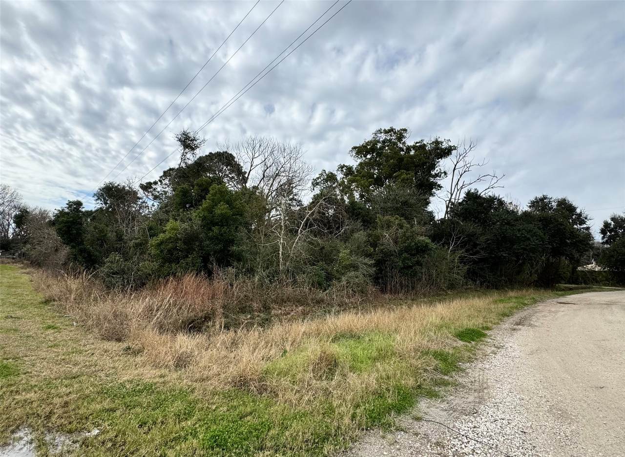 LOT 9 Shannon - Photo 1