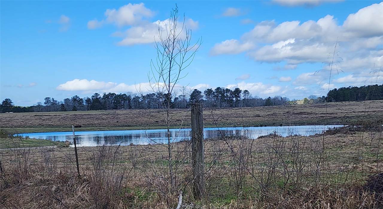 TBD Nelson Road - Photo 1