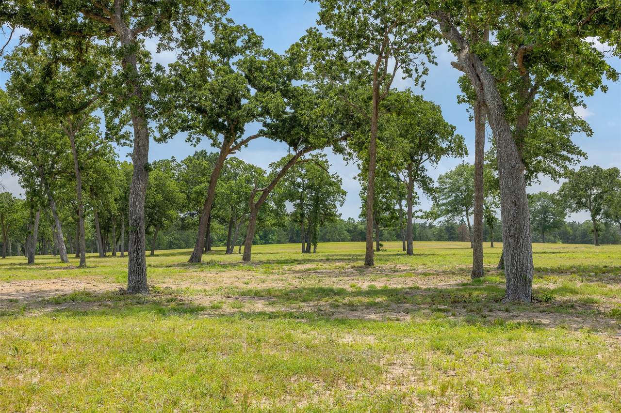 0000 Old Laake Lane - Photo 1