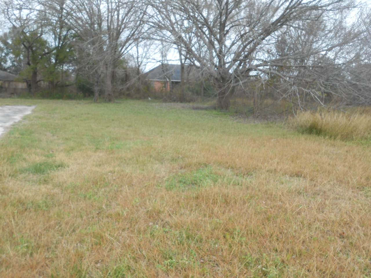 5900 Meadowbrook Street - Photo 1