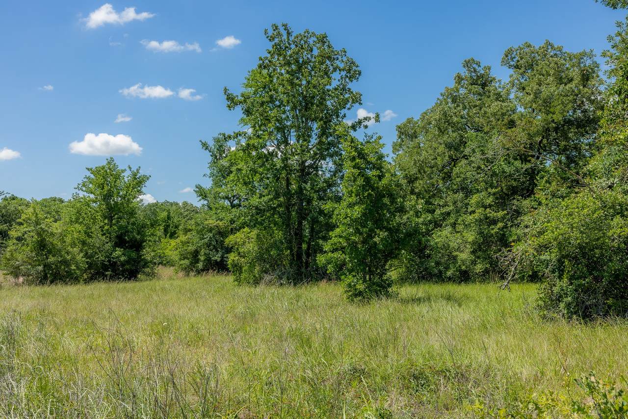 10677 Brushwood Cutoff - Photo 1