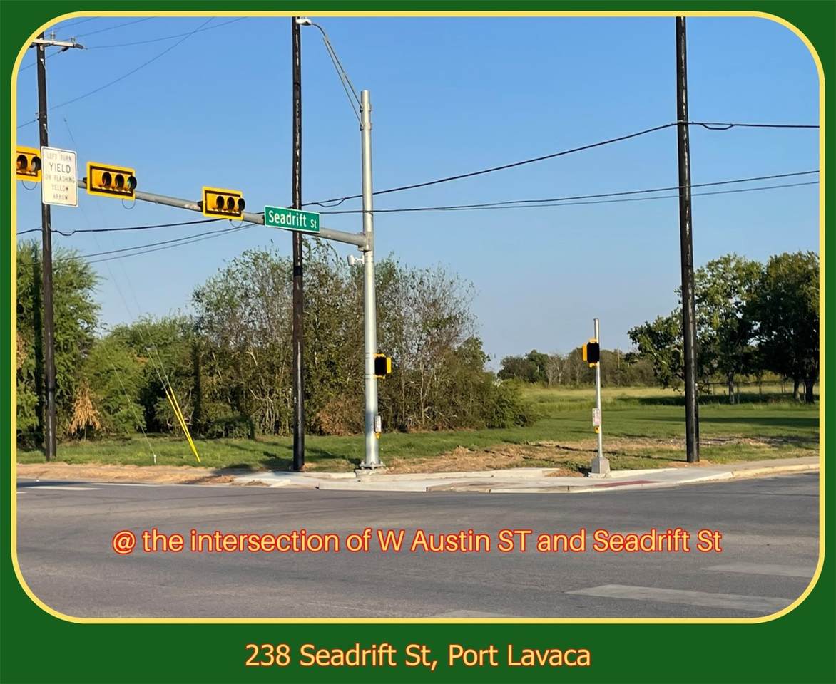 238 Seadrift Street - Photo 1