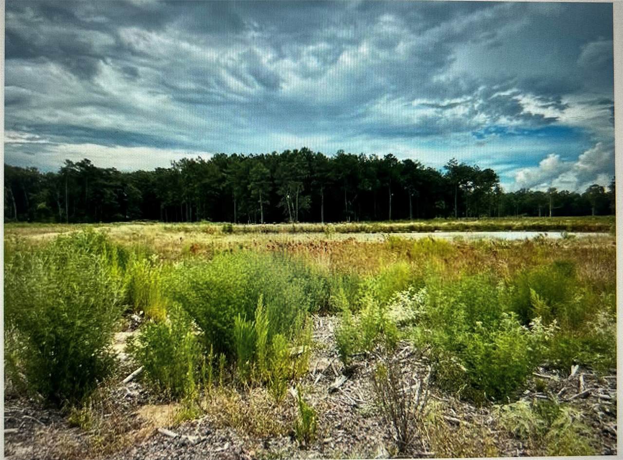 TBD Lot 4 County Road 2184 - Photo 1