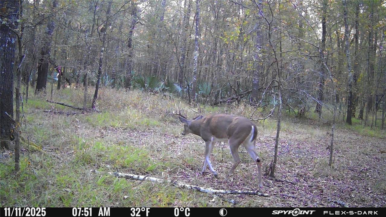 Lot 25 Frank Ln - Photo 1
