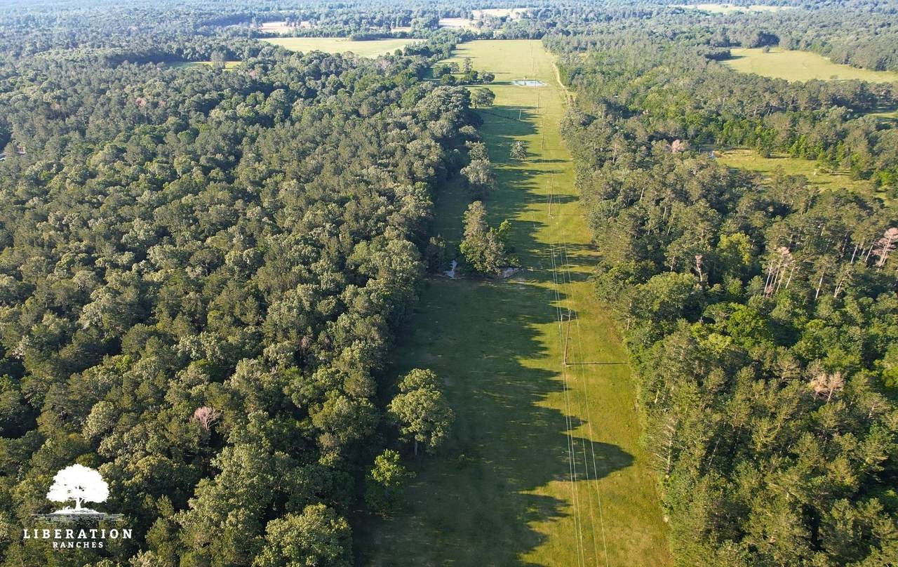 TBD John Warren Lot 6 Road - Photo 1
