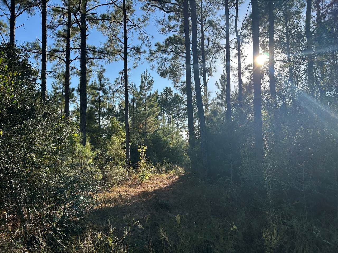 Tract 11 Fm 230 - Photo 1