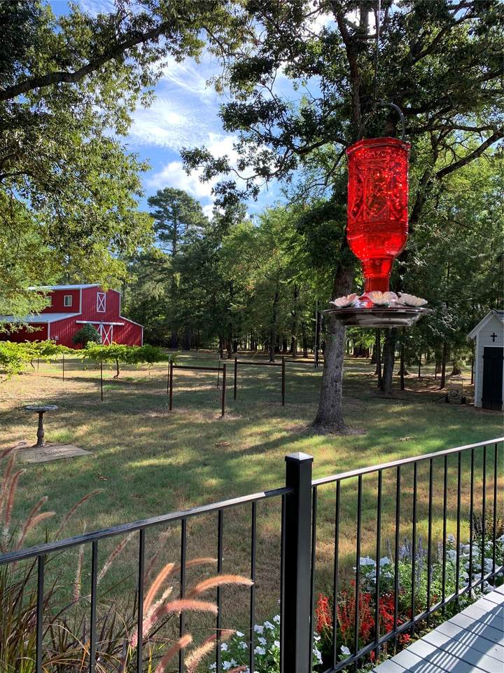 10427 Fm 229 - Photo 1