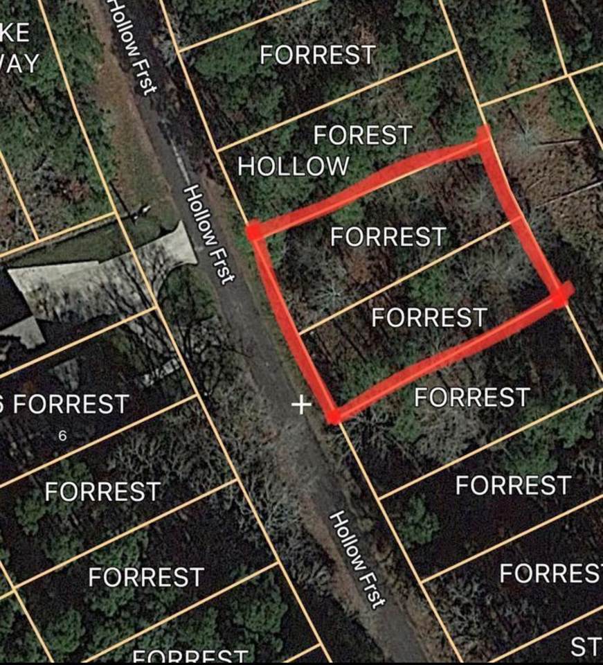 0 Forest Hollow - Photo 1