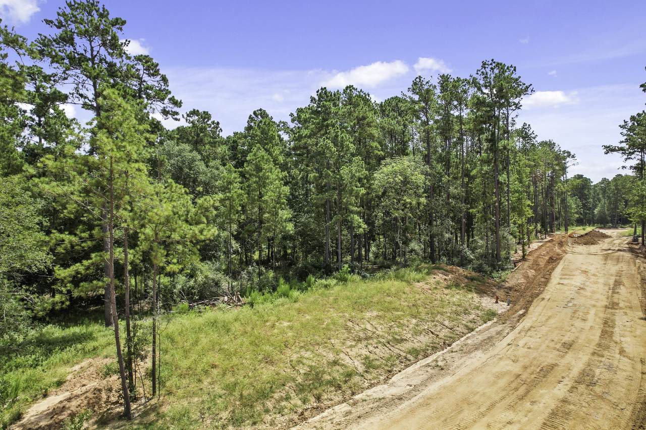 4017 Augusta Drive - Photo 1