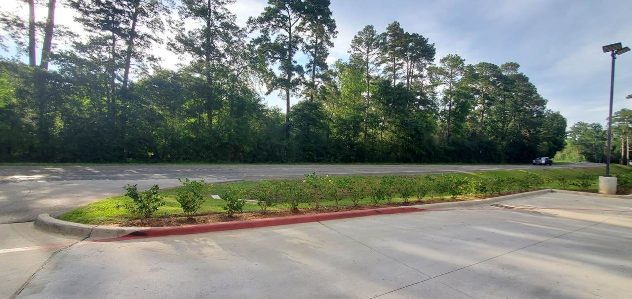 16868 Fm 1484 Road - Photo 1