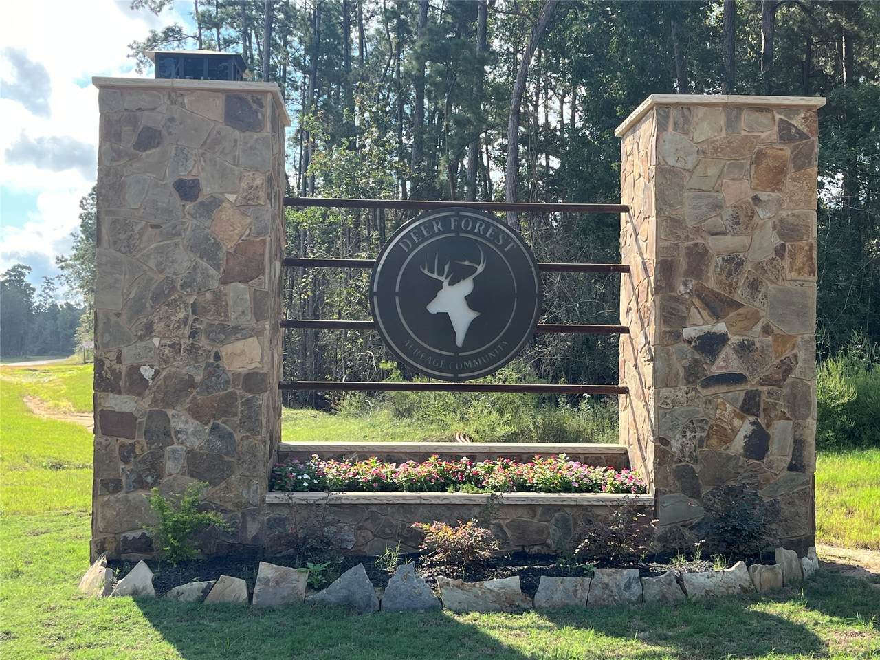 11723 Grand North Road - Photo 1