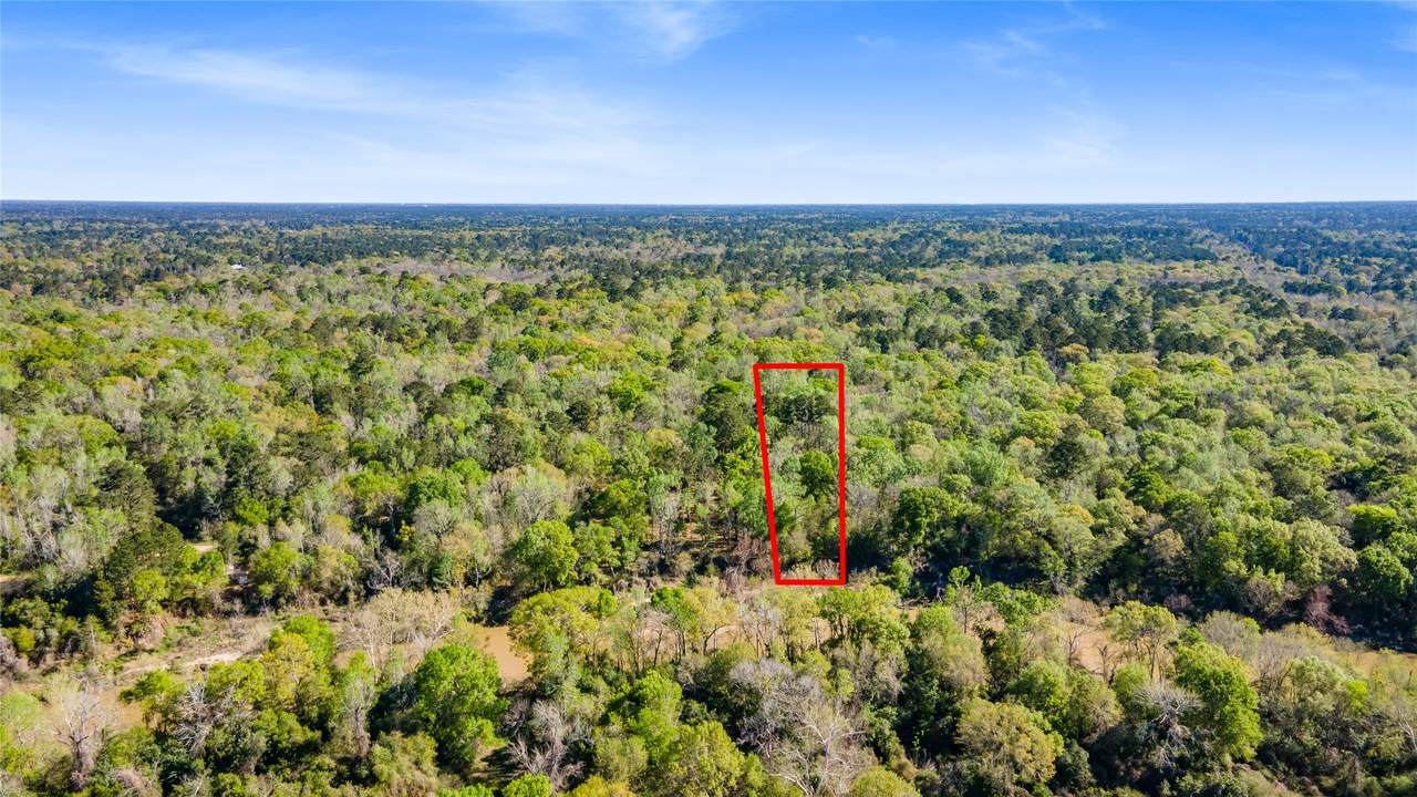 00 & 000 Redbud Drive - Photo 1