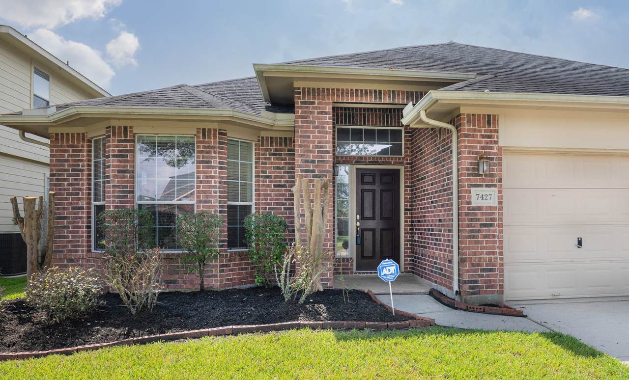7427 Boerne Creek - Photo 1