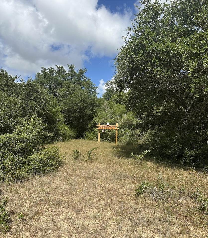 TBD Cr 273 Road - Photo 1