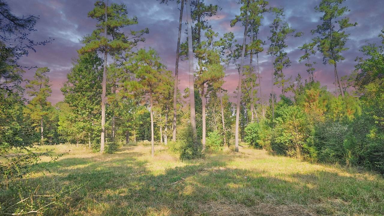 TBD Gregory - Photo 1