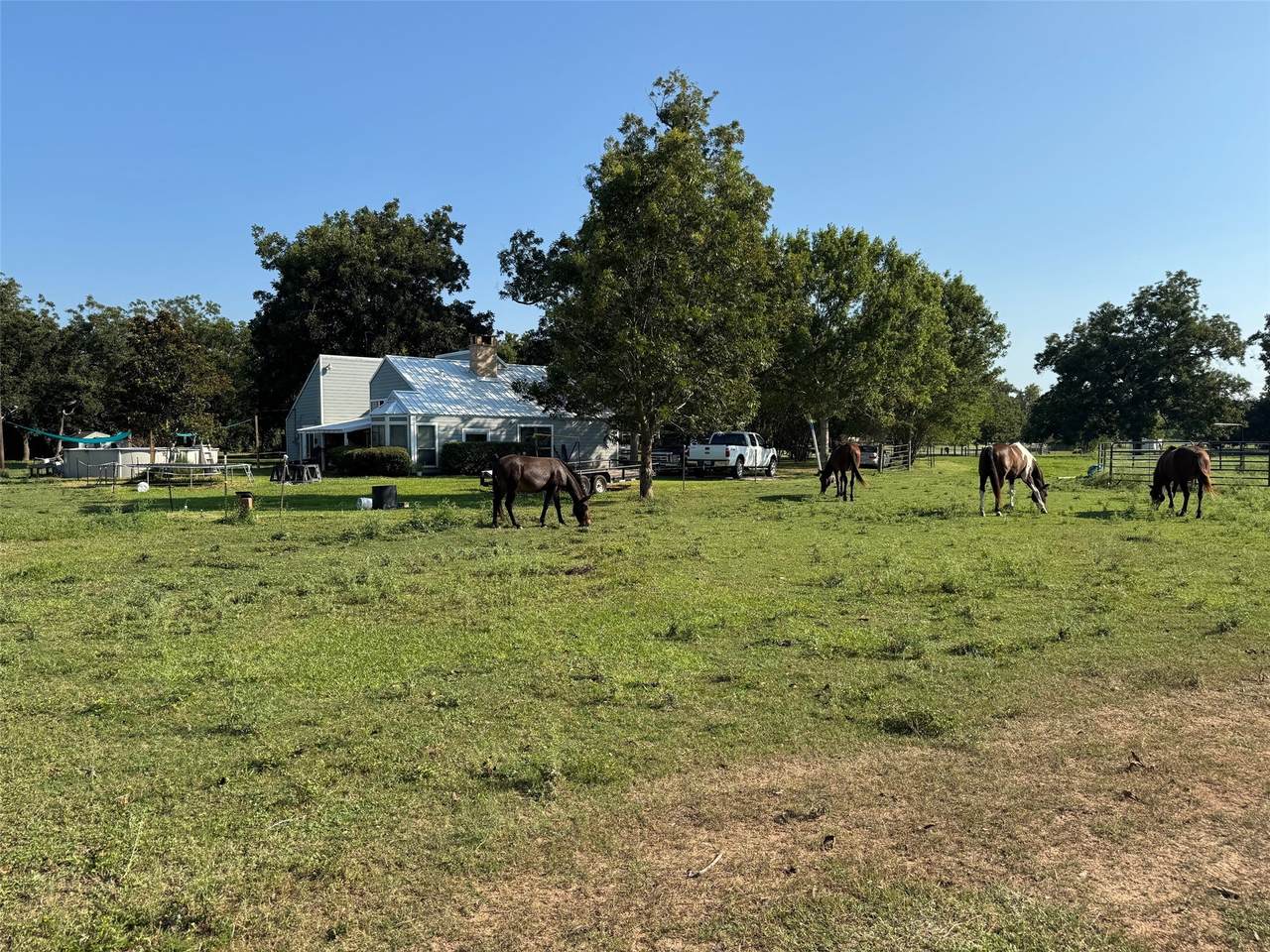 1203 Half Moon Drive - Photo 1