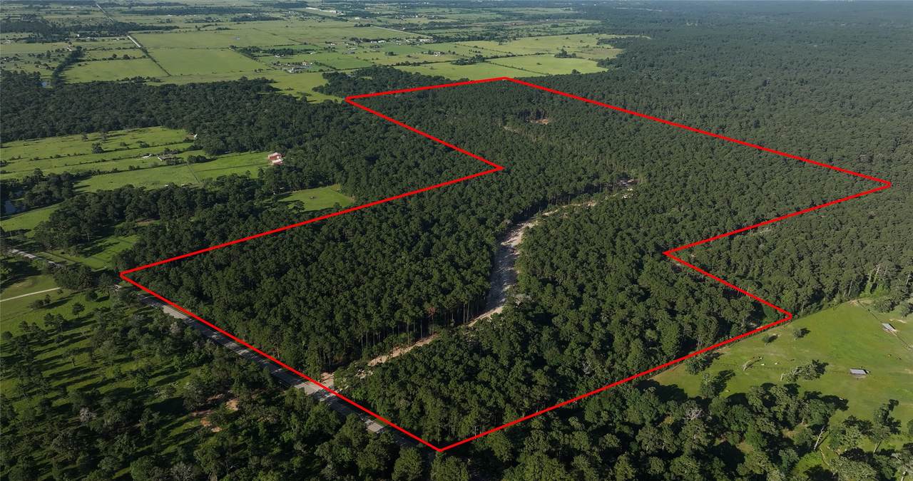 tbd 13.75 Fm 362 Rd Rd - Photo 1
