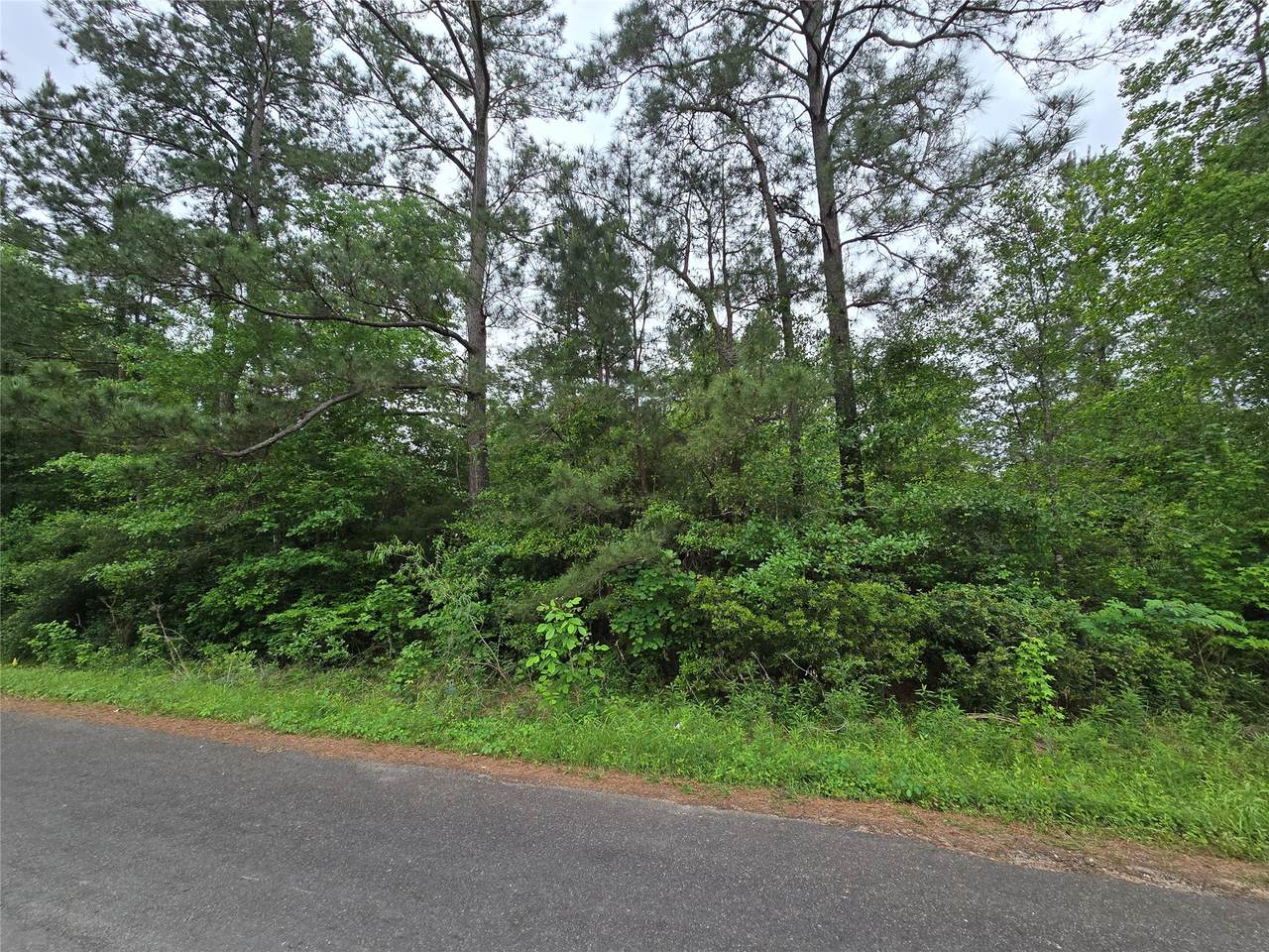 TBD Eastepp Road - Photo 1