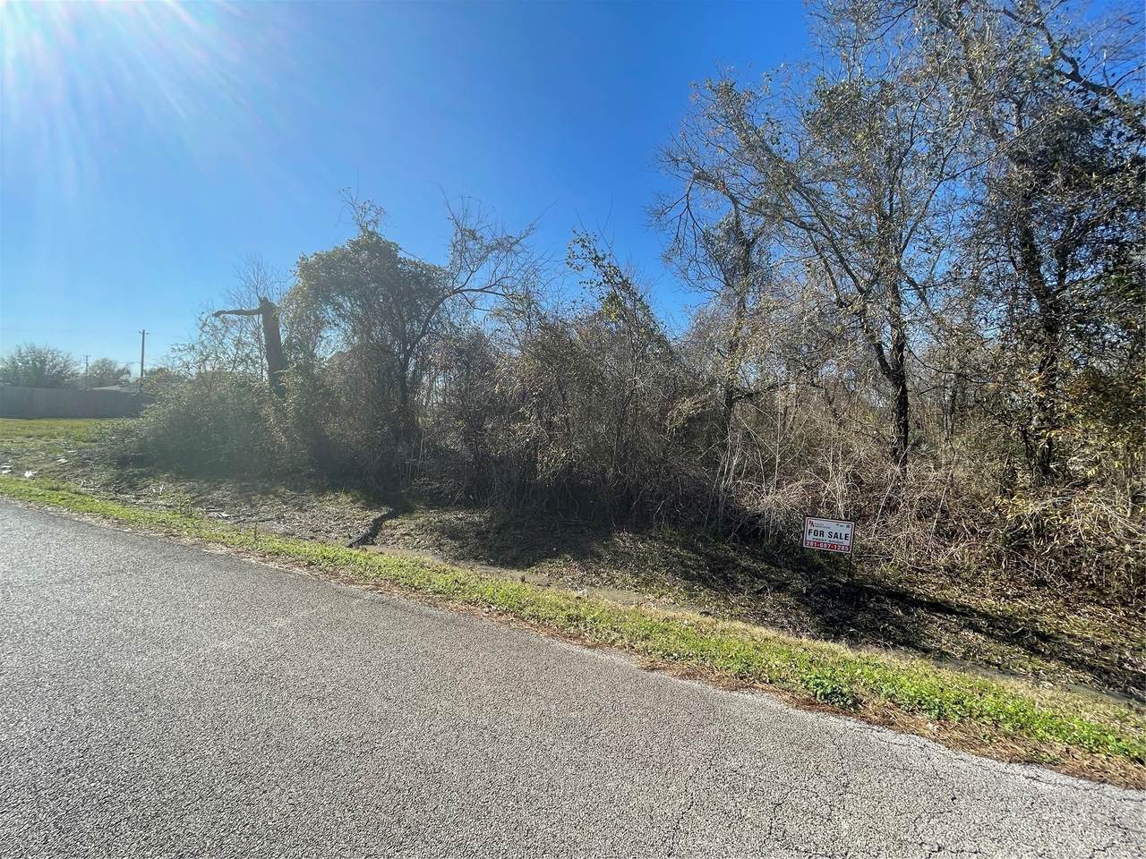 0 Yaupon Street - Photo 1