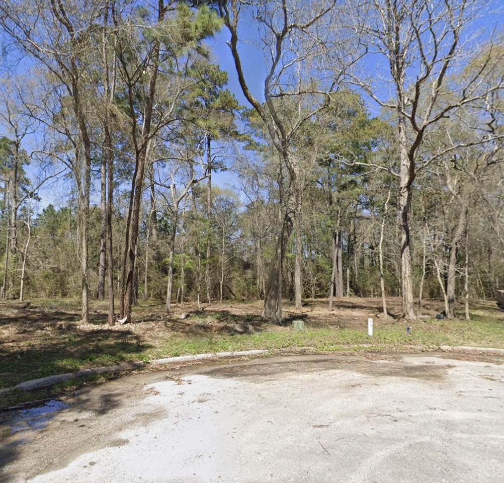 25789 Tupelo Circle - Photo 1