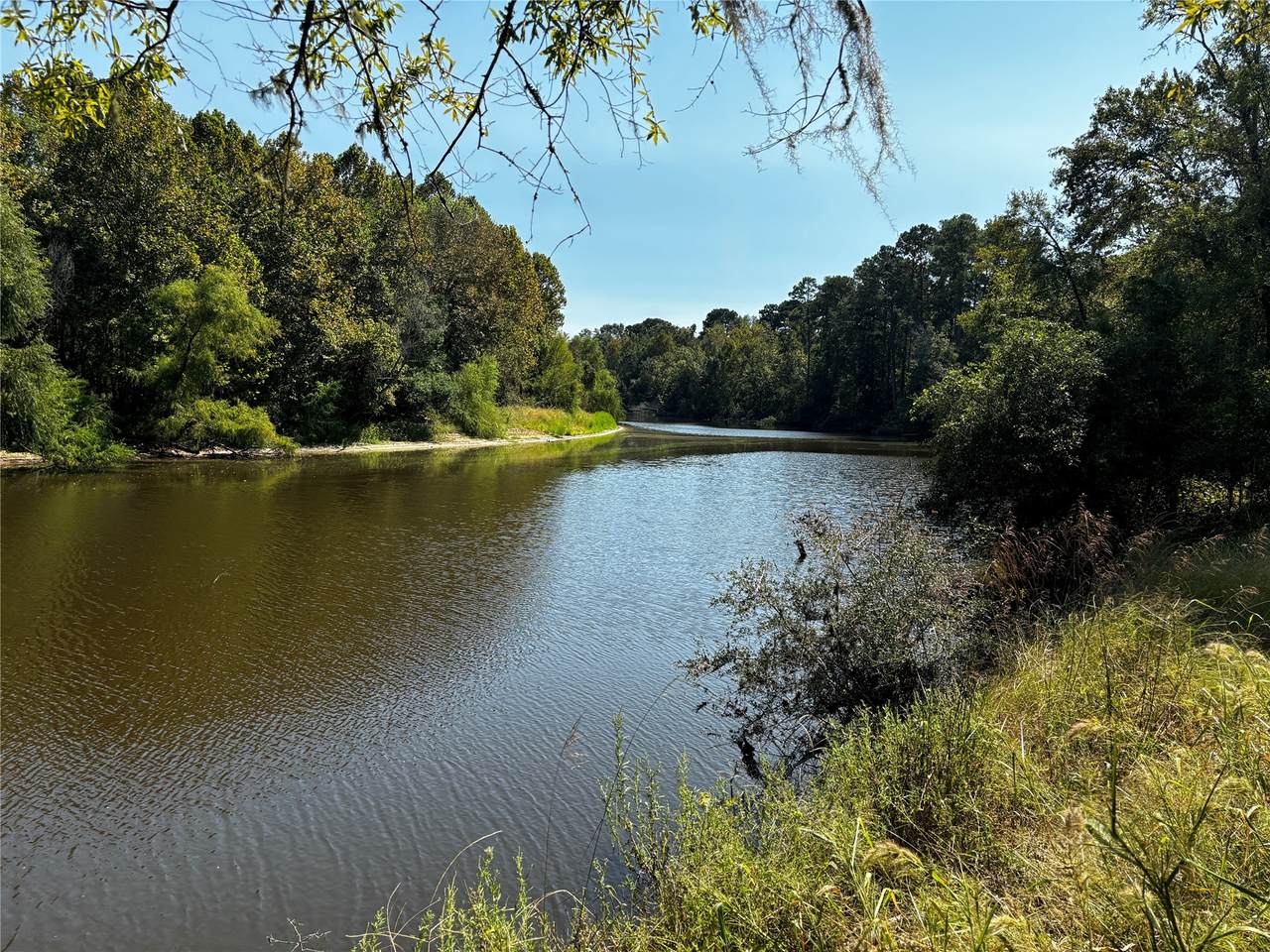 Tract 4 Trinity Lady Park Road - Photo 1