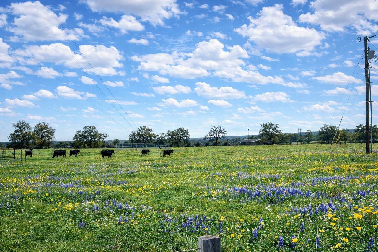 12811 Us Hwy 79 - Photo 1