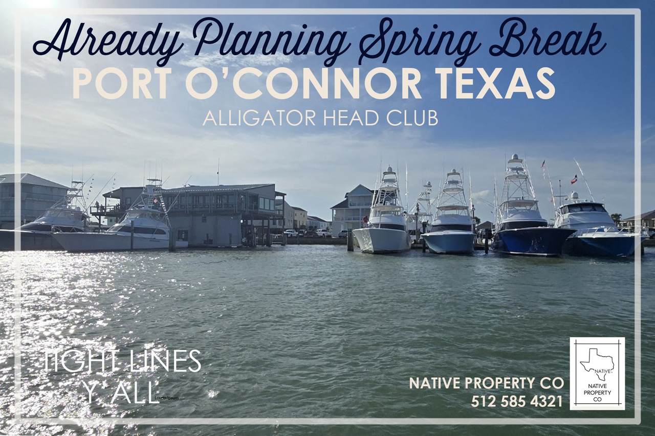 1 Alligator Head Lane - Photo 1