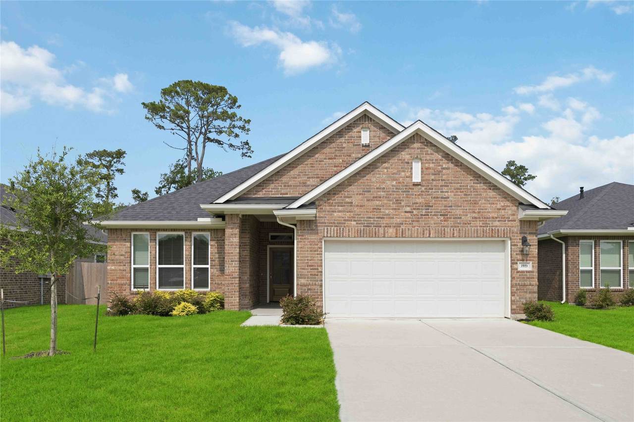3919 Sugardale Street - Photo 1