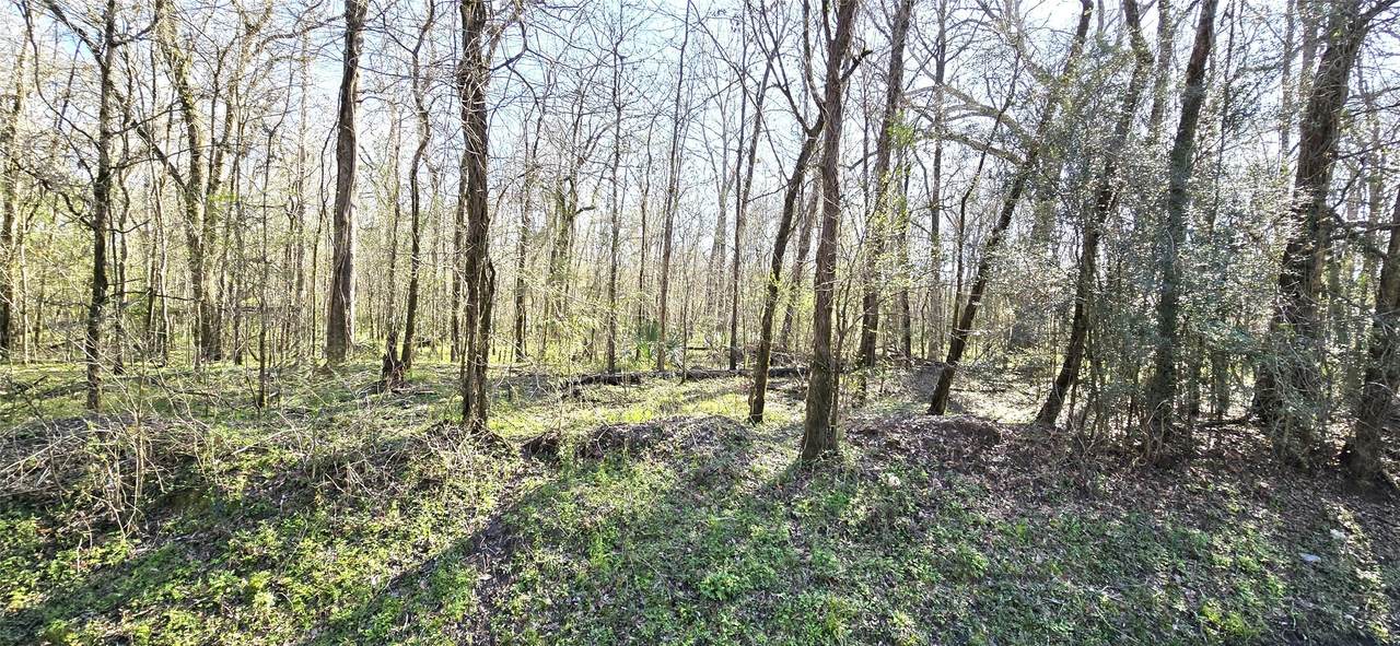 TBD County Road 2500 - Photo 1