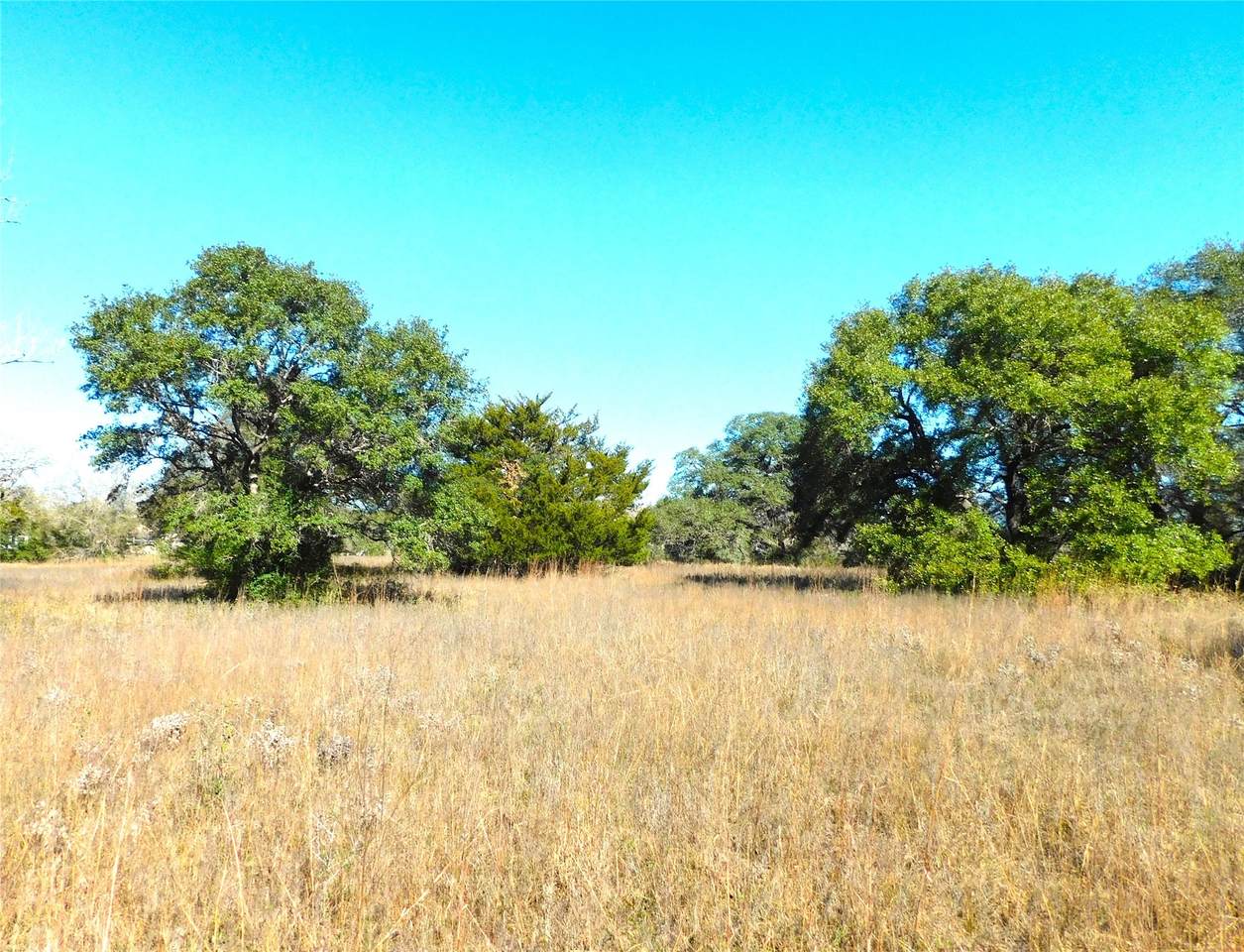 11200 Mt Falls School Road - Photo 1