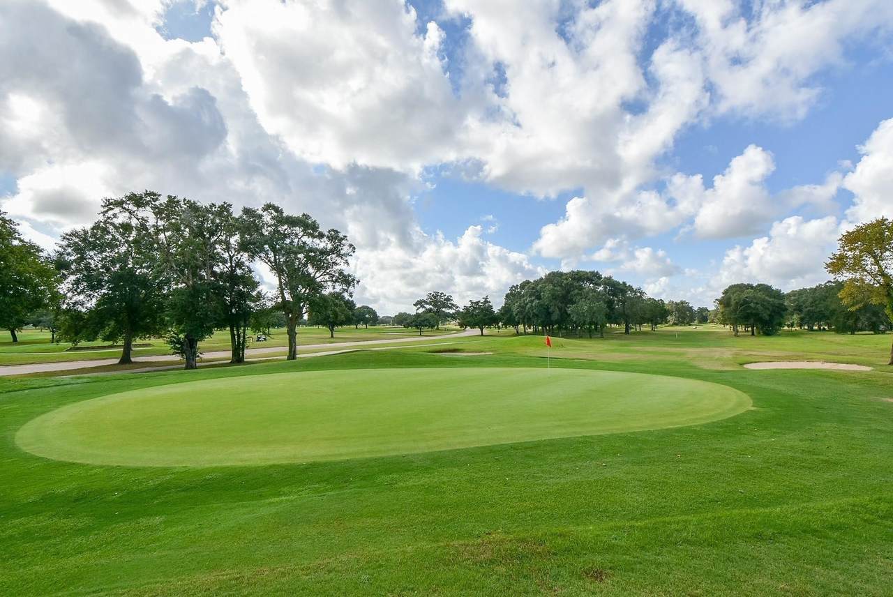 320 Mavanelle Cove - Photo 1