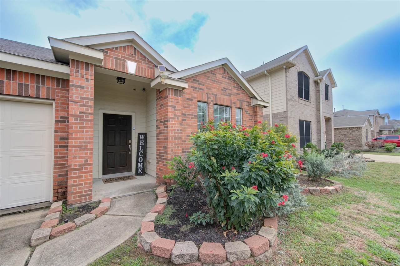 10759 Ocelot Lane - Photo 1