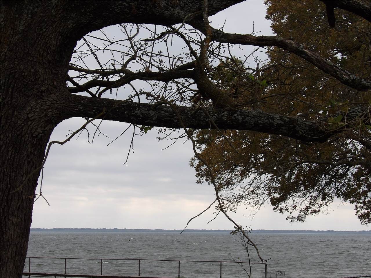 1401 Rs County Road 1530 - Photo 1