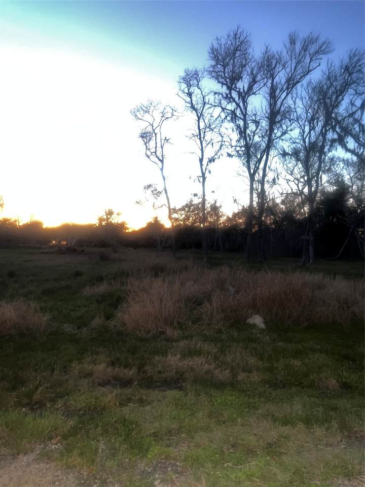 32602 Bayou Bend - Photo 1