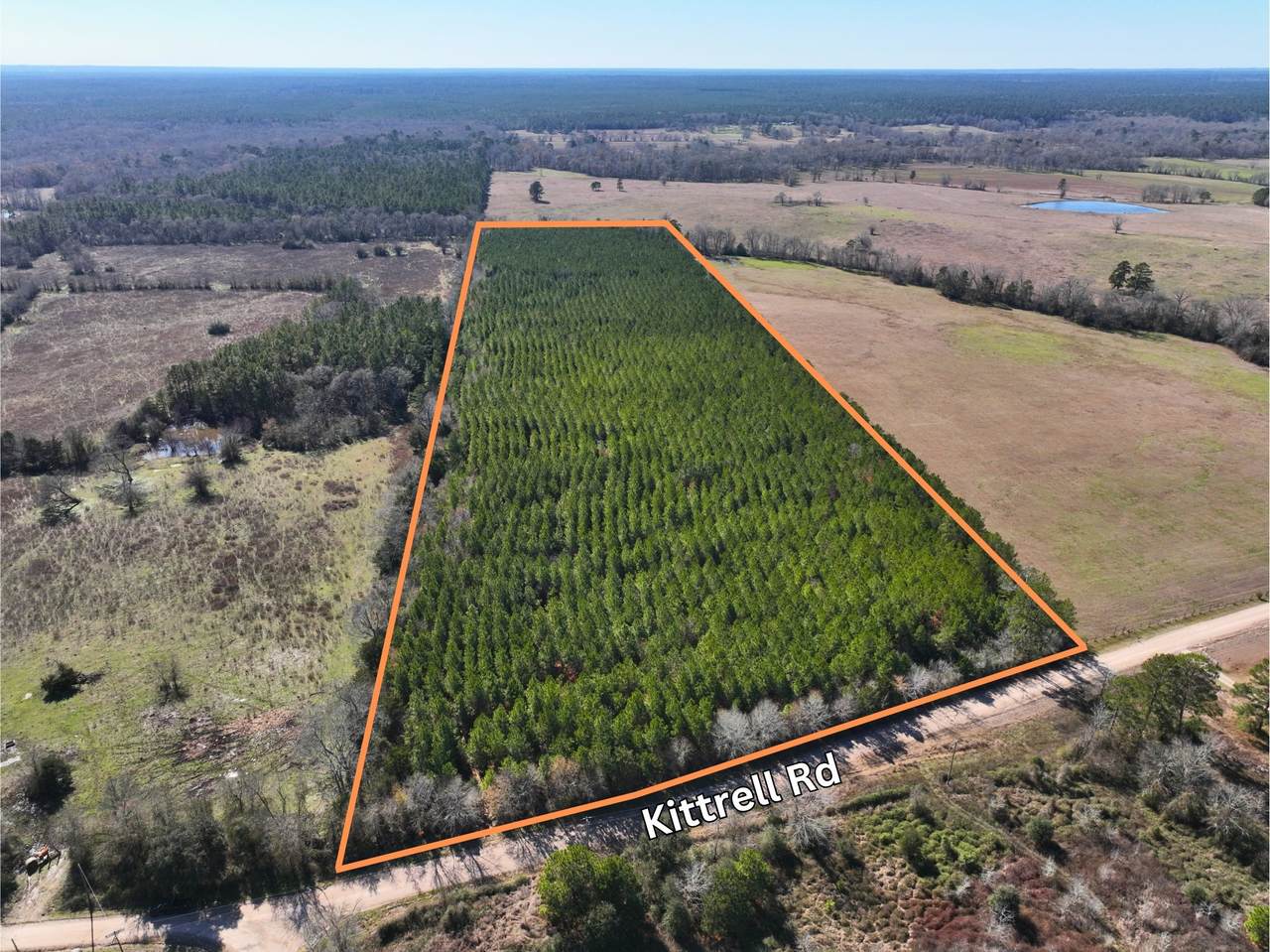 1 Kittrell Road - Photo 1