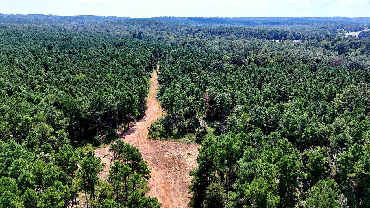 6935 Us Highway 175 W - Photo 1