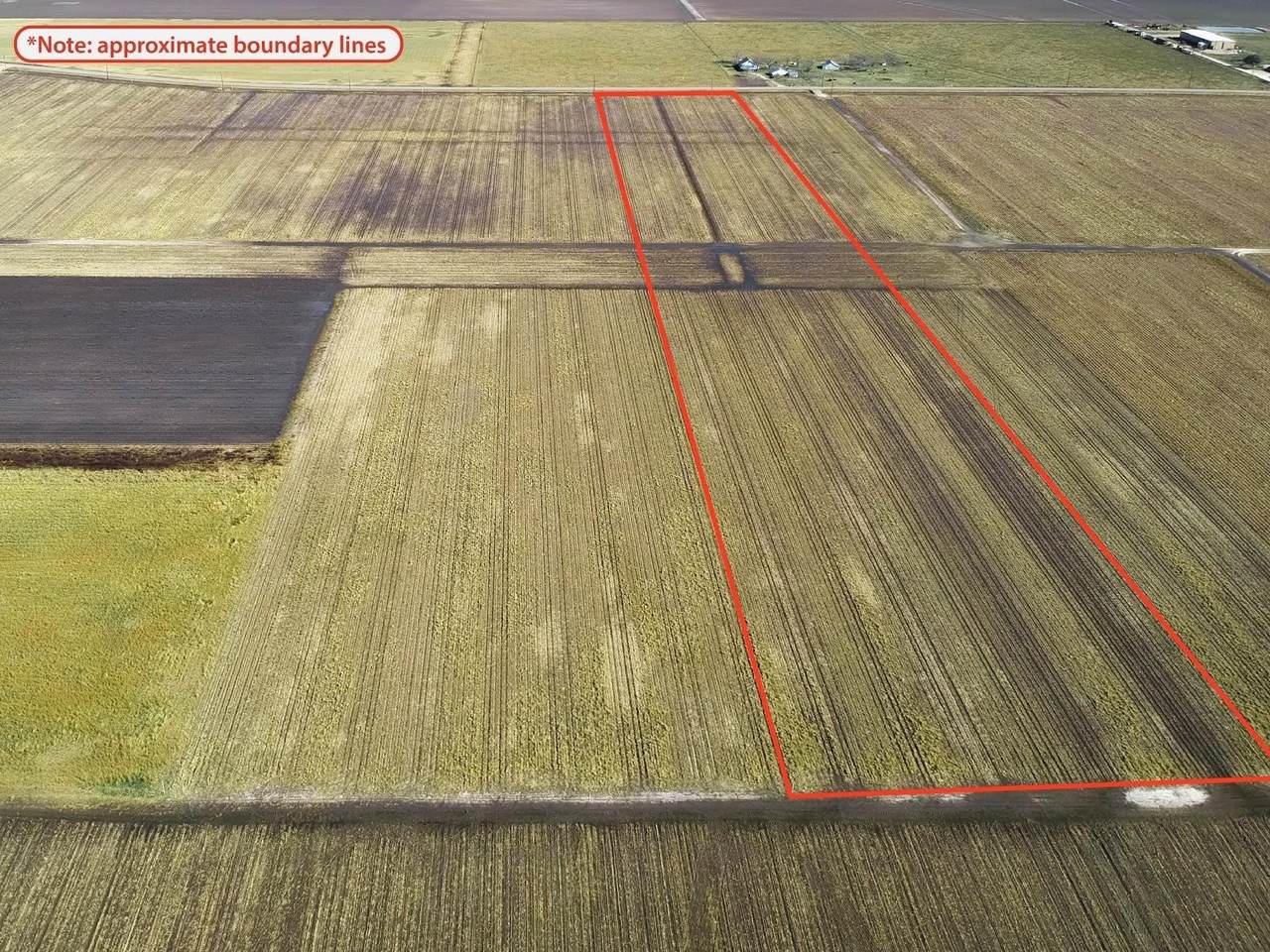 4427 Polak Road - Photo 1