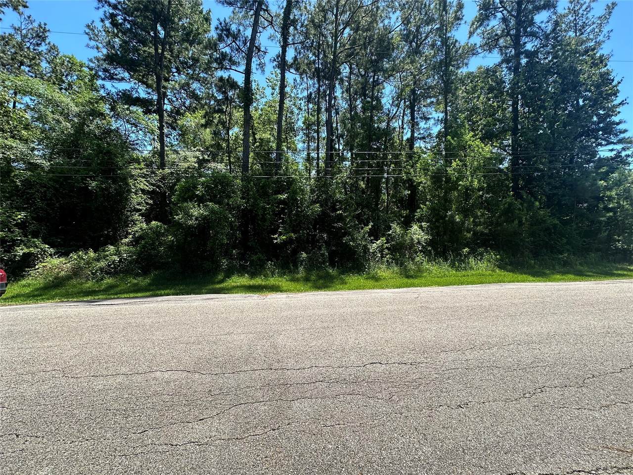 1815 Black Bear Drive - Photo 1