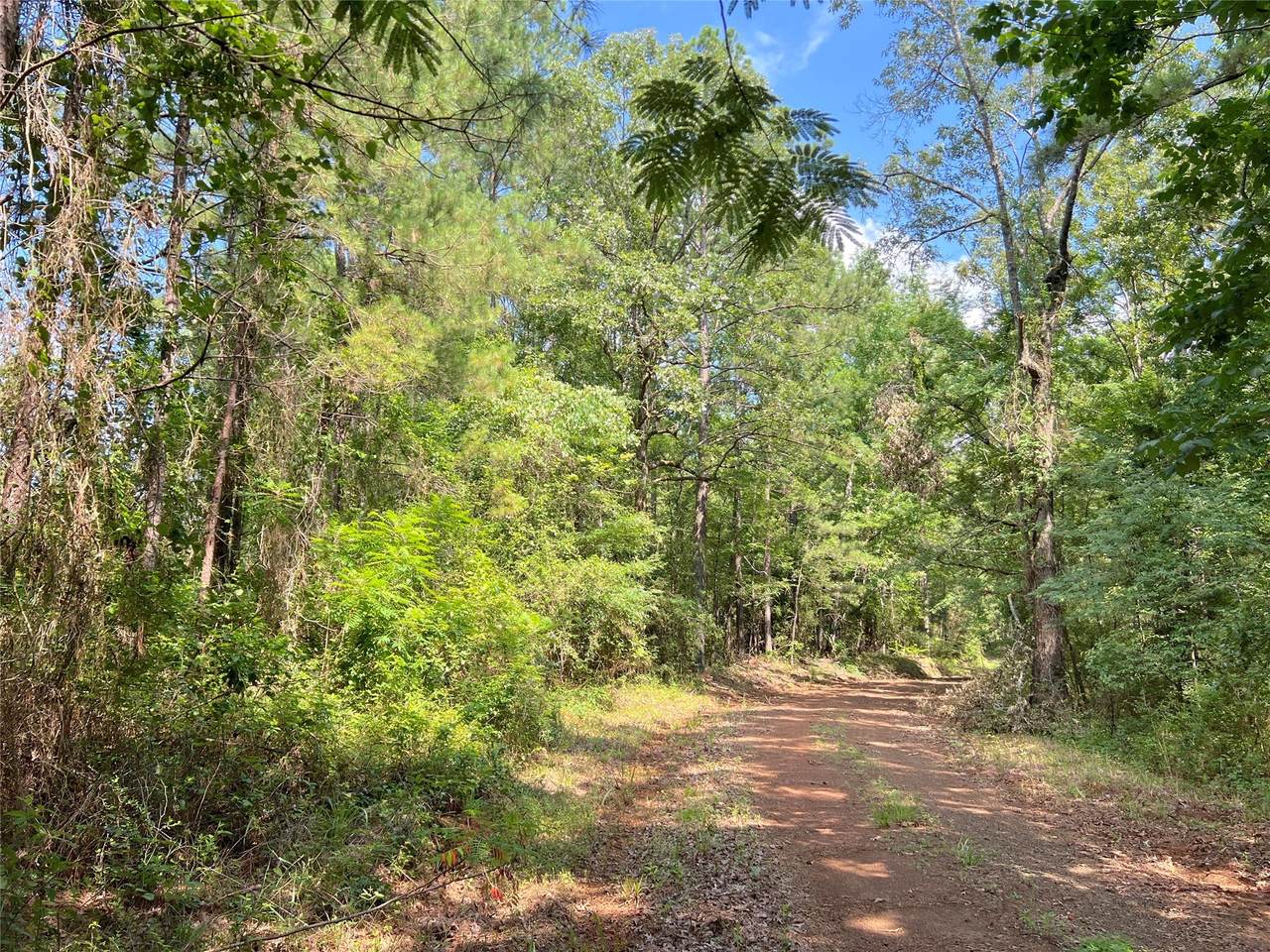 03 Off Highway 21 - Photo 1