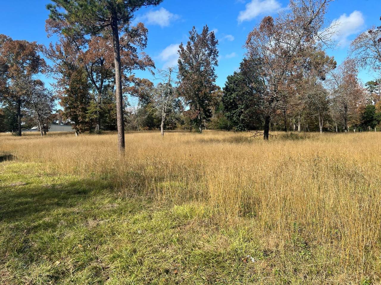 TBD Houston Avenue - Photo 1