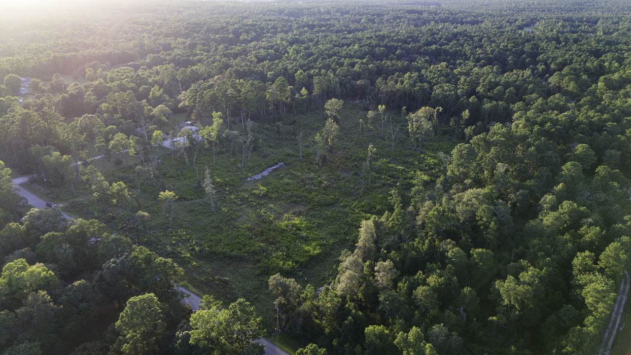 24340 & 24350 Weeren Road - Photo 1