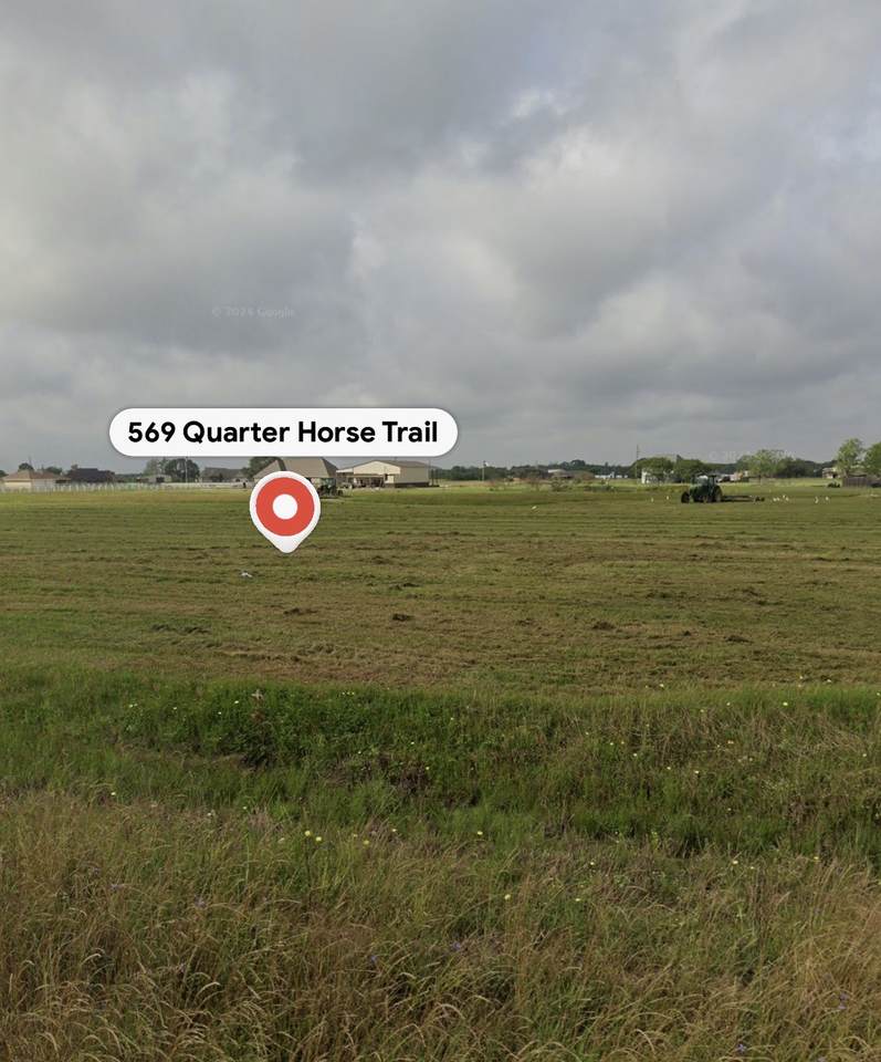 569 Quarter Horse Trail - Photo 1