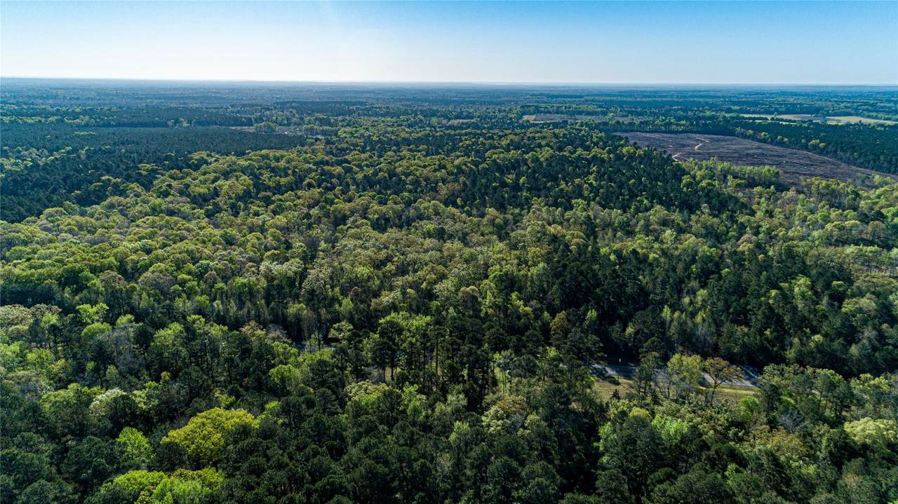 00 Hwy 49 - Photo 1