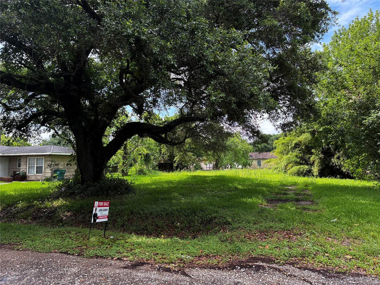 229 Nanlee Street - Photo 1