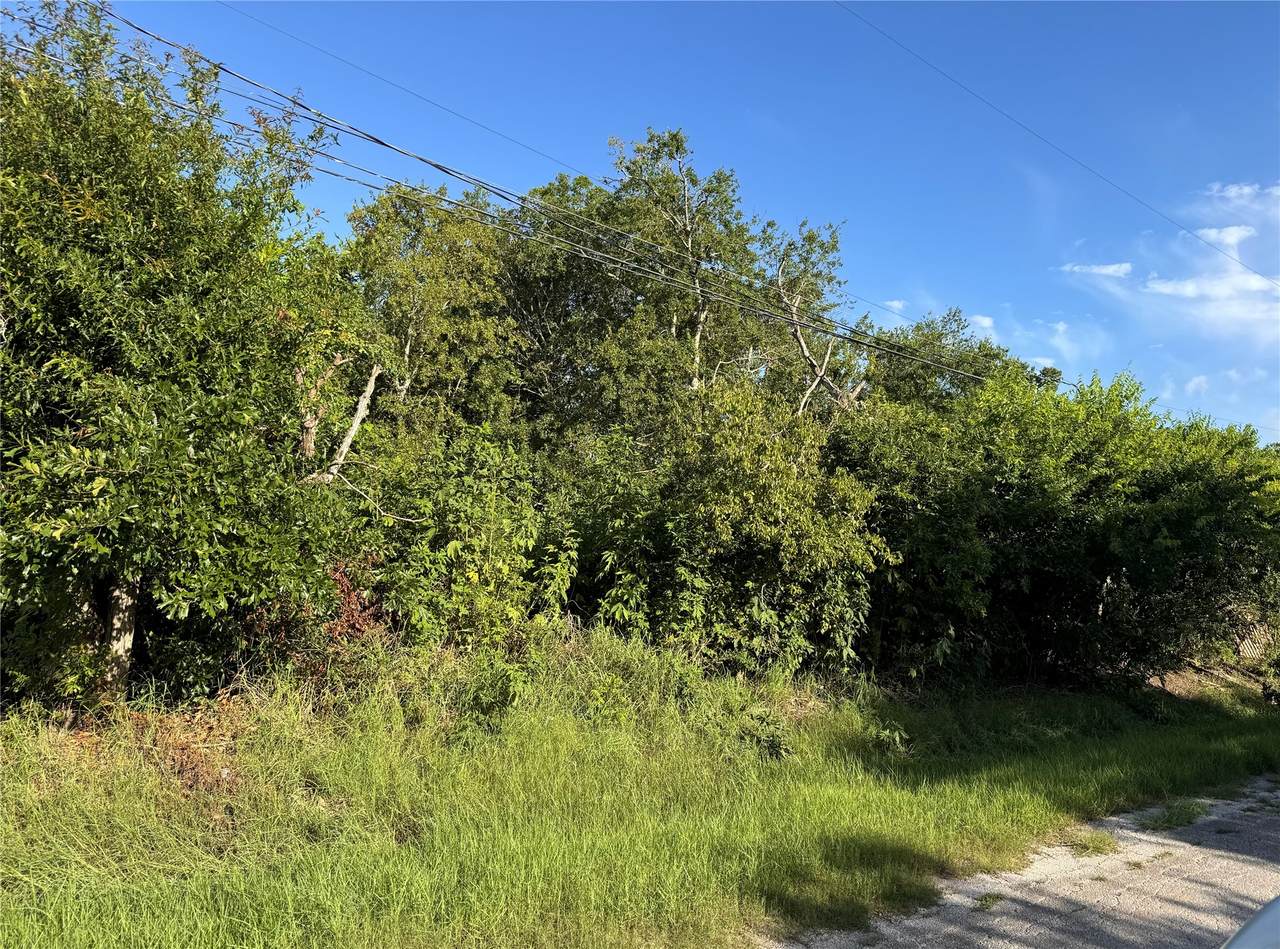 327 13th Street - Photo 1