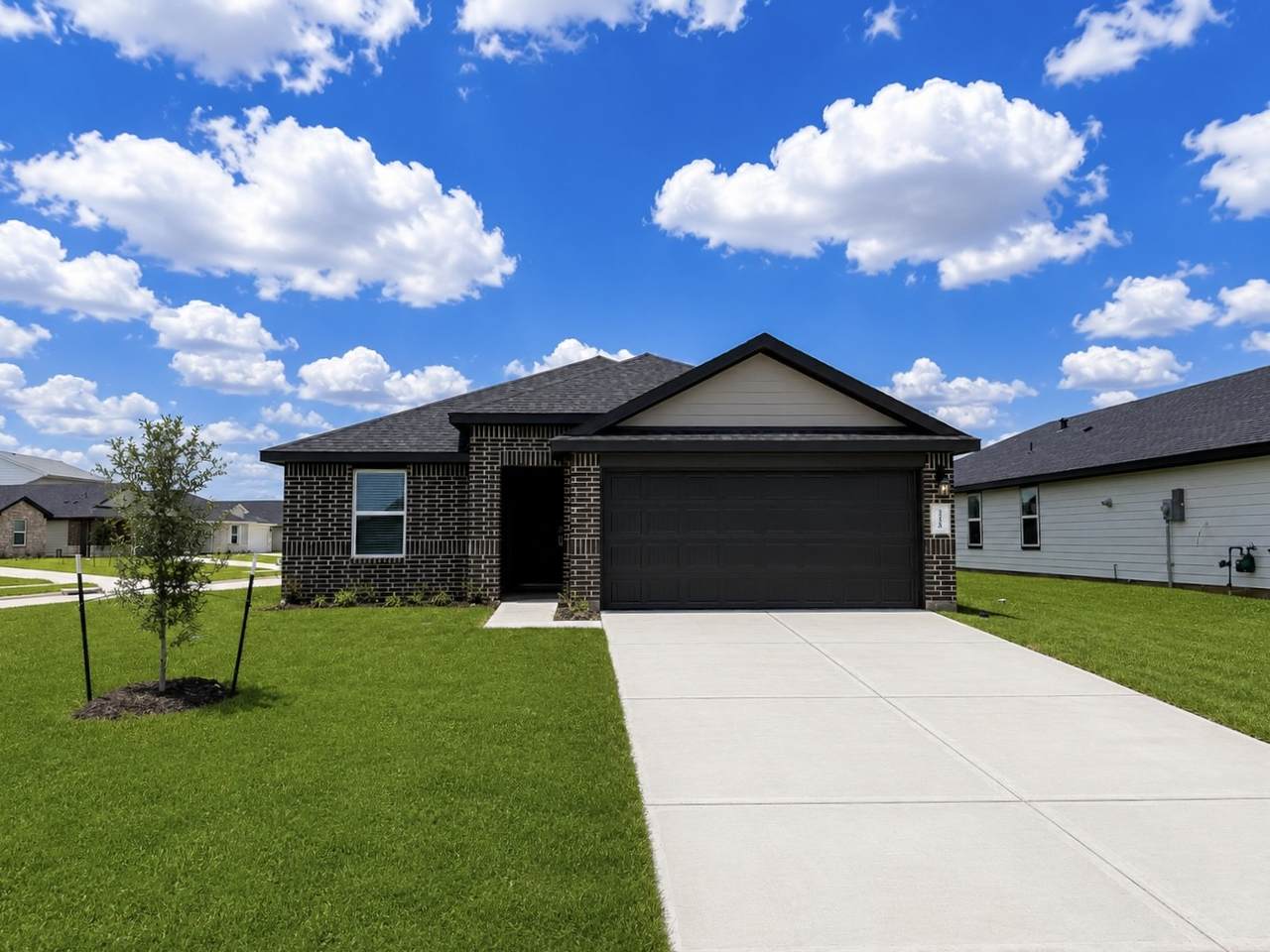 31218 Carmelas Landing Drive - Photo 1